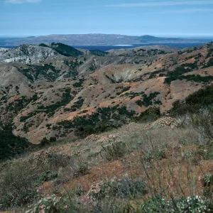 view of Santa Rosa Island from South Ridge Road, Santa Cruz Island