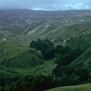 Scorpion Canyon, Santa Cruz Island