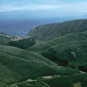 Scorpion Canyon, Santa Cruz Island