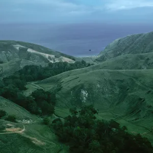 Scorpion Canyon, Santa Cruz Island