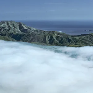 Sierra Blanca ridge in fog, Santa Cruz Island