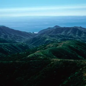 Willows Canyon, Santa Cruz Island