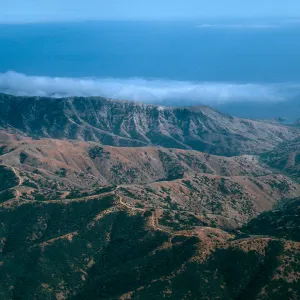 Willows Canyon, South Ridge Road, Santa Cruz Island
