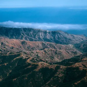 Willows Canyon, South Ridge Road, Santa Cruz Island