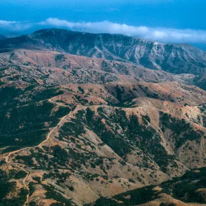 Willows drainage & South Ridge Road, Santa Cruz Island