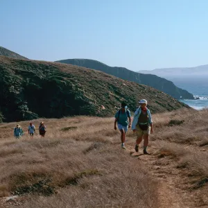 road into lower Sauces Canyon (LACM) trip), Santa Cruz Island