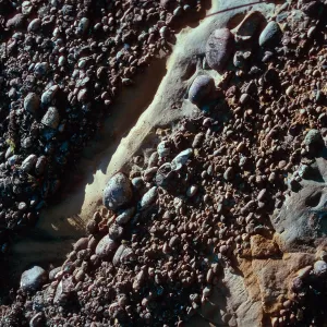cobbles, lower Sauces Canyon, Santa Cruz Island