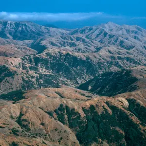 between Laguna & Willows Canyons, Santa Cruz Island