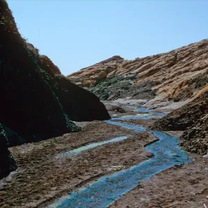 lower Sauces Canyon, Santa Cruz Island