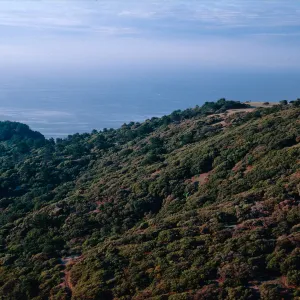 West of PiÃ±os Del Sur, Santa Cruz Island