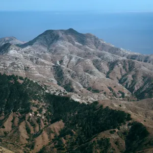Christy Pines & Sierra Blanca ridge, Santa Cruz Island