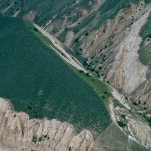 fenceline, MontaÃ±on Canyon, Santa Cruz Island