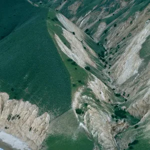 fenceline, MontaÃ±on Canyon, Santa Cruz Island