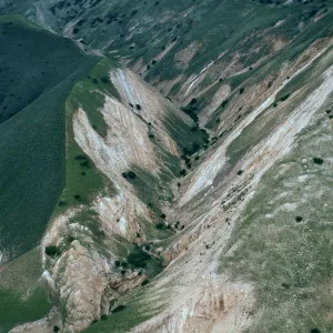 fenceline, MontaÃ±on Canyon, Santa Cruz Island