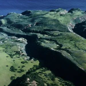 South side, just West of MontaÃ±on Canyon, Santa Cruz Island