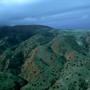 East side of MontaÃ±on ridge, Santa Cruz Island