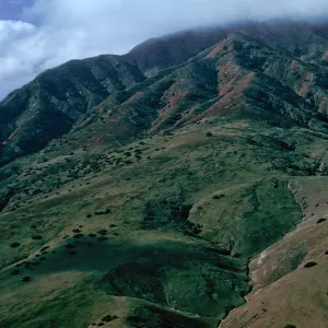 Southeast side of El MontaÃ±on, North of CaÃ±ada Del Aguaje, Santa Cruz Island