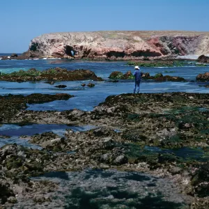 tide pools, Fraser Point, Santa Cruz Island