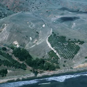 Smugglers Ranch & vicinity, Santa Cruz Island
