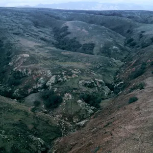 double sheep fence, (upper North fork of Smugglers Canyon ??), Santa Cruz Island