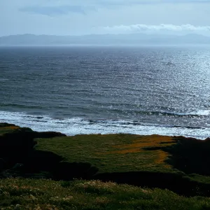 coastal flats, just North of Christy Ranch, Santa Cruz Island