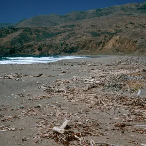 mouth of Christy Canyon, Christy Beach, Santa Cruz Island