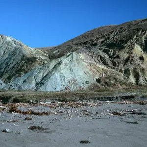 coastal bluffs, South end of Christy Beach, Santa Cruz Island