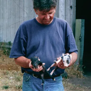 Keith Herold w/baby pigs, Christy barn, Santa Cruz Island