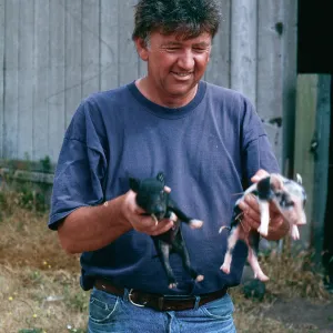 Keith Herold w/baby pigs, Christy barn, Santa Cruz Island