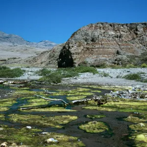 mouth of Christy Canyon, Santa Cruz Island