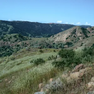 Central Valley from trail to Peak 1848 East, Santa Cruz Island