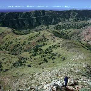 Central Valley from trail to Peak 1848 East, Santa Cruz Island