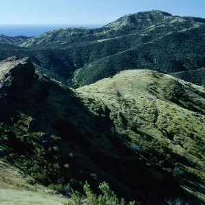 Central Valley from trail to Peak 1848 East, Santa Cruz Island