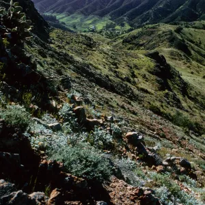 Stanton Ranch from trail to Peak 1848 East, Santa Cruz Island