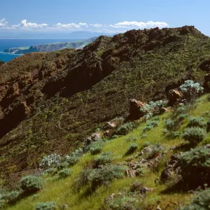 North shore from near Peak 1848 East, Santa Cruz Island