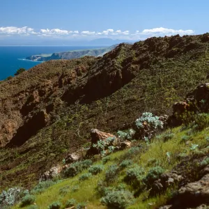 North shore from near Peak 1848 East, Santa Cruz Island