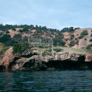 Pelican Bay, Santa Cruz Island