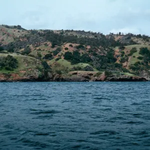 between Pelican Bay & Prisoners Harbor, Santa Cruz Island