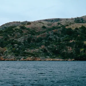 rockslide area, between Pelican Bay & Prisoners Harbor, Santa Cruz Island