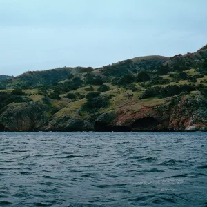 just East of rockside, between Pelican Bay & Prisoners Harbor, Santa Cruz Island