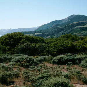 Isthmus, Santa Cruz Island