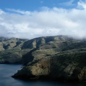 North side, Santa Cruz Island