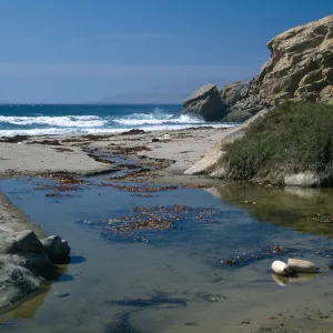 estuary, mouth of Sauces Canyon, Santa Cruz Island