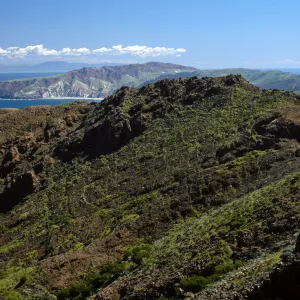 China Harbor from near Peak 1848 East, Santa Cruz Island