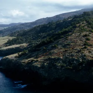 view of Orizaba Flats, Santa Cruz Island