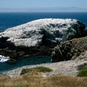 Cormorant Rocks, Fraser Point, Santa Cruz Island