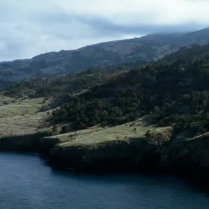 Orizaba Flats, Santa Cruz Island