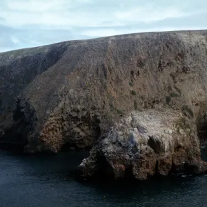 Cavern Point area, Santa Cruz Island