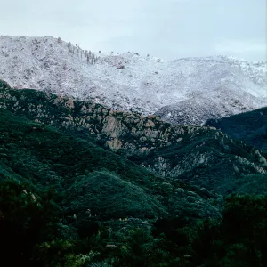 snow on Santa Ynez Mountains, East slope, Santa Barbara Botanic Garden