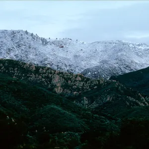 snow on Santa Ynez Mountains, East slope, Santa Barbara Botanic Garden